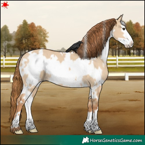 Horse Color:White Spotted Red Dun Frame 