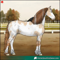Horse Color:White Spotted Red Dun Frame 