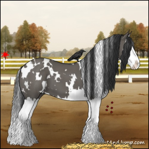 Horse Color:White Spotted Grullo Splash 