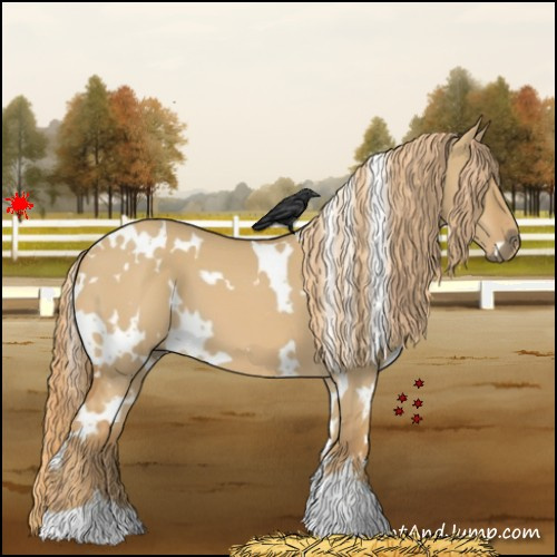 Horse Color:White Spotted Red Dun 