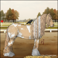 Horse Color:White Spotted Red Dun 