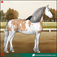 Horse Color:White Spotted Silver Bay Dun Splash 