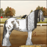 Horse Color:White Spotted Smoky Grullo Tobiano Rabicano