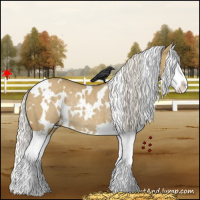 Horse Color:White Spotted Silver Smoky Grullo Splash Rabicano