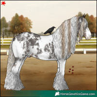 Horse Color:White Spotted Liver Chestnut Sabino