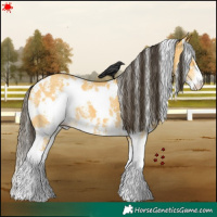Horse Color:White Spotted Buckskin Dun Sabino