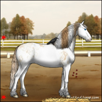 Horse Color:White Spotted Red Dun Pearl Splash 
