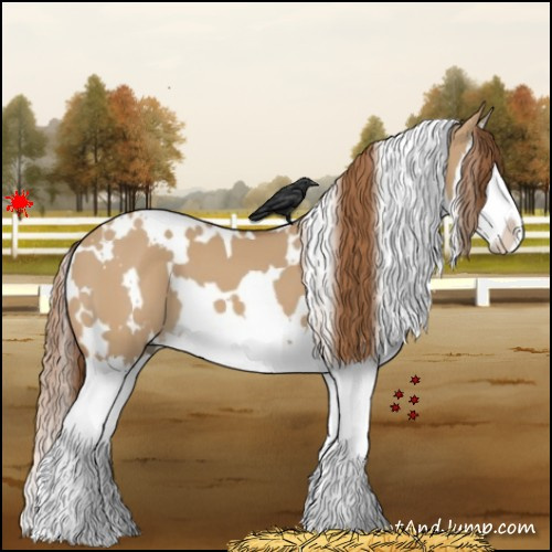 Horse Color:White Spotted Red Dun Splash 