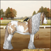 Horse Color:White Spotted Red Dun Splash 