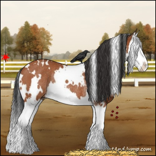 Horse Color:White Spotted Bay Splash Rabicano 