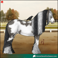 Horse Color:White Spotted Grullo Frame 