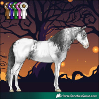 Horse Color:White Spotted Black Blanket 