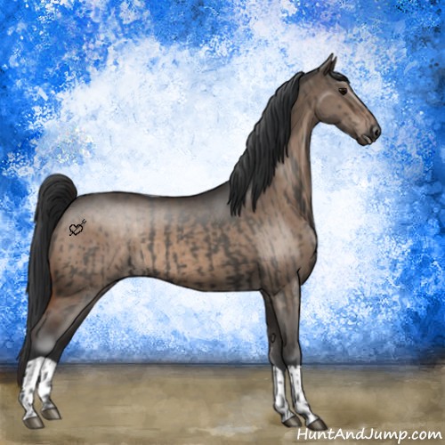 Horse Color:Grullo  and Brown Dun 