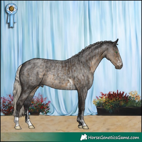 Horse Color:Silver Smoky Black  and Silver Smoky Blue Roan 