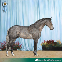 Horse Color:Silver Smoky Black  and Silver Smoky Blue Roan 