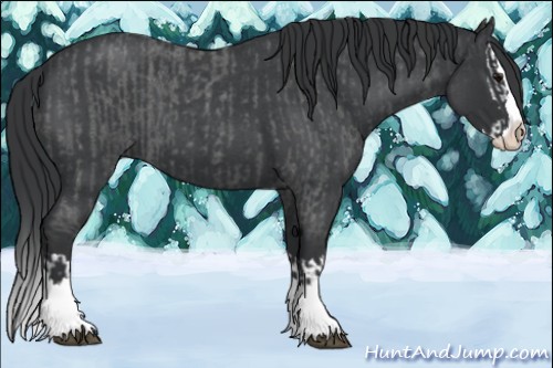 Horse Color:Blue Roan Sabino Splash and Blue Roan Sabino Splash