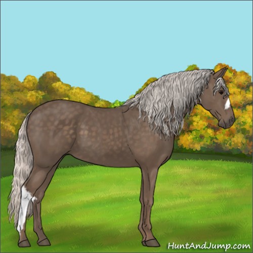 Horse Color:Silver Black 