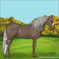 Horse Color:Silver Black 