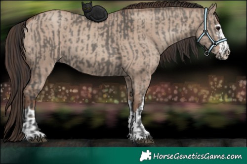 Horse Color:Grullo  and Classic Champagne Dun 