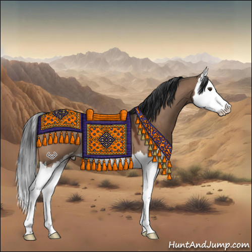 Horse Color:Brown Dun Sabino Splash 