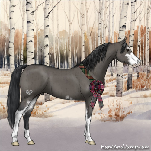 Horse Color:Grullo Sabino Brindle 