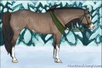Horse Color:Brown Dun Sabino 