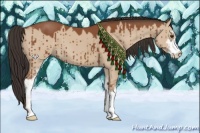 Horse Color:Brown Dun Sabino Brindle 