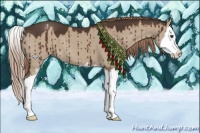 Horse Color:Liver Red Dun Sabino Splash Brindle