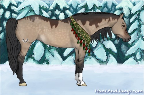 Horse Color:Brown Dun 