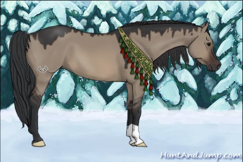 Horse Color:Brown Dun 