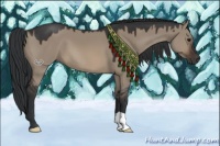 Horse Color:Brown Dun