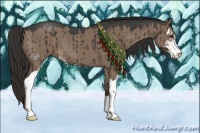 Horse Color:Liver Red Dun Roan Sabino Brindle 