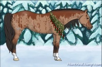 Horse Color:Brown Dun Brindle 