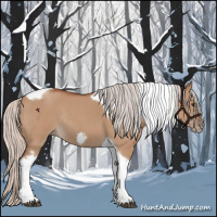 Horse Color:Silver Bay Roan Dun Tobiano Frame Rabicano