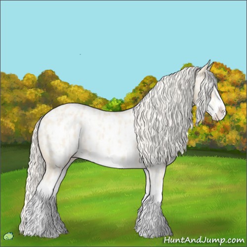 Horse Color:Cremello Splash Near Leopard  and Cremello Splash Frame Near Leopard 