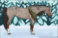 Horse Color:Liver Red Dun Roan Sabino 