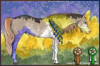 Horse Color:Liver Red Dun Sabino