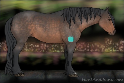 Horse Color:Brown Roan 