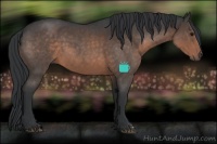 Horse Color:Brown Roan 