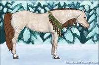 Horse Color:Red Dun Ice Roan Sabino 