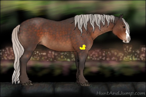 Horse Color:Silver Brown Roan Sabino Splash