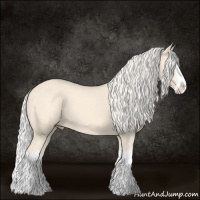 Horse Color:Cremello Splash and Cremello Splash