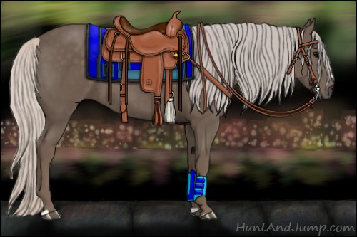 Horse Color:Silver Black 