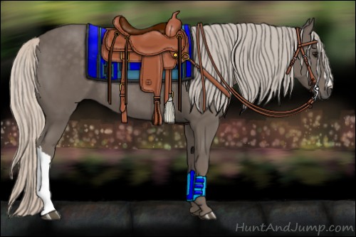 Horse Color:Silver Black 