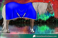 Horse Color:Silver Black 