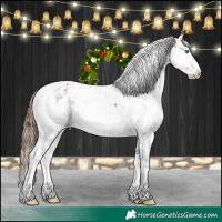 Horse Color:Chestnut Sabino Splash 