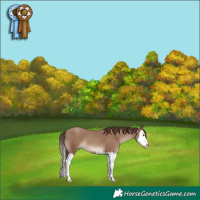 Horse Color:Classic Champagne Splash