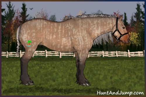 Horse Color:Brown Dun  and Silver Brown Dun 