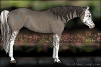 Horse Color:Smoky Grullo  and Smoky Grullo Splash 