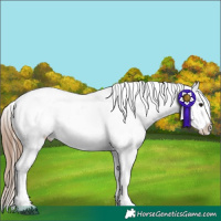 Horse Color:Bay Roan Near Leopard